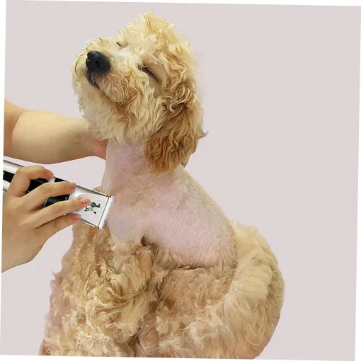 Cod. 697  Cortadora de pelo Inalámbrica para mascotas / Motor de 3v / cuchilla cerámica / 5 velocidades / Incluye: cargador, 4 peines, brocha de limpieza